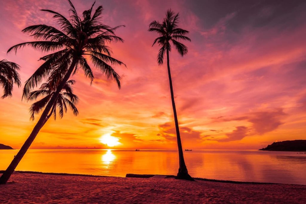 Praesent libro se cursus ante Travel Blog 7 1024x683